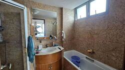 Rafflesia Condominium (D20), Condominium #553955161